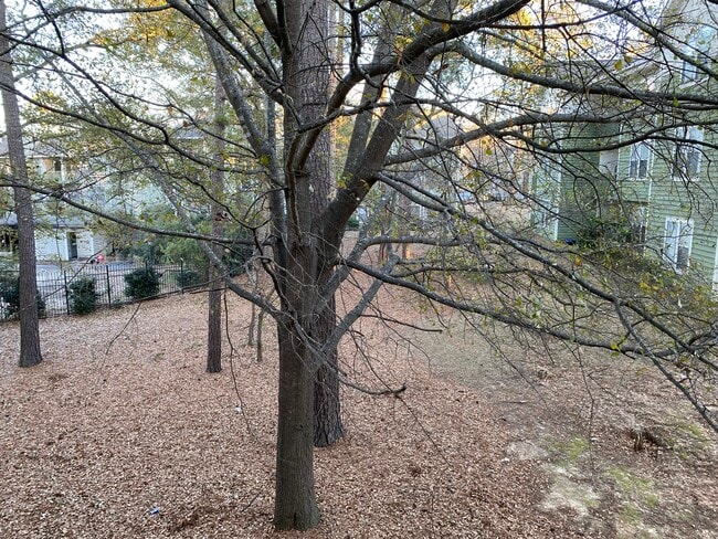 Building Photo - 6813 Willowbrook Dr