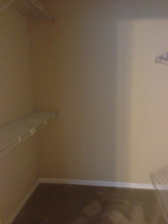 Building Photo - Gorgeous 4 BR Lake Mary home on Conservation lot - walking distance to Lake Mary HS