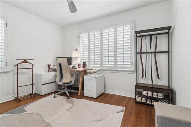 Building Photo - 11631 Saxon St