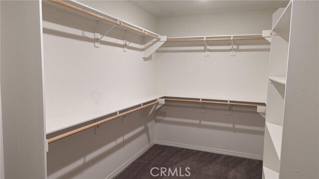 Building Photo - 5440 Starling Dr