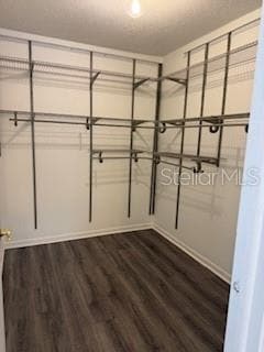 Building Photo - 1701 Avoca Dr