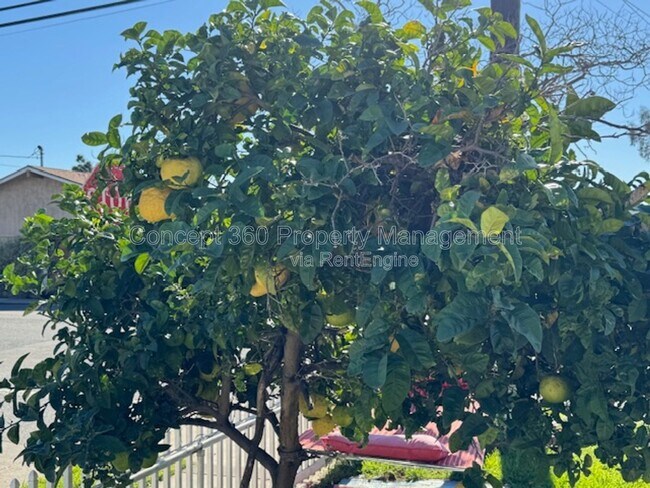 Building Photo - 3811 E 10th St