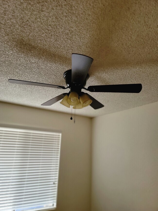 Building Photo - 930 N Indiana St