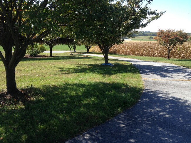 One of the driveways - 6245 Iron Bridges Rd