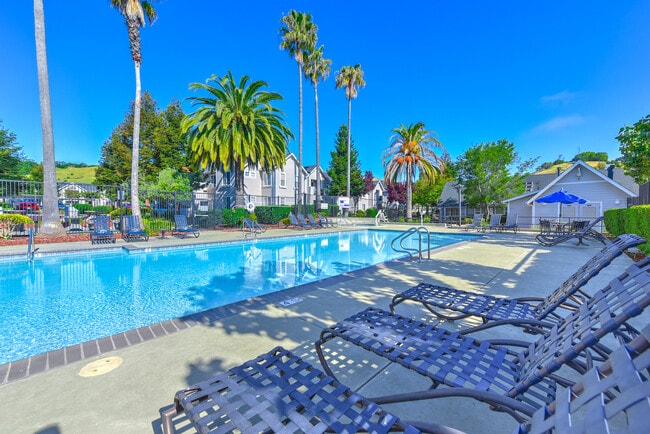 Building Photo - Bay Vista at Meadow Park