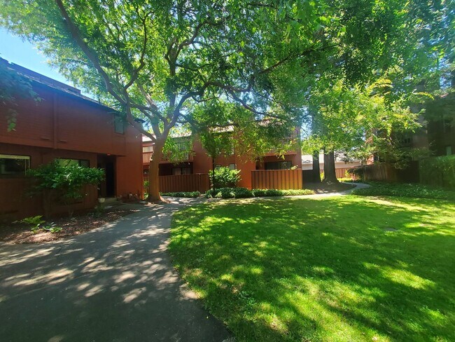 Building Photo - 1717 Novato Blvd