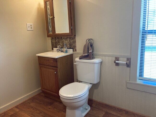 Master Bath - 1131 Union Hill Church Rd