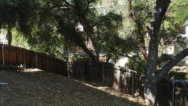 Rear Yard with Oak Trees - 4335 Morro Dr