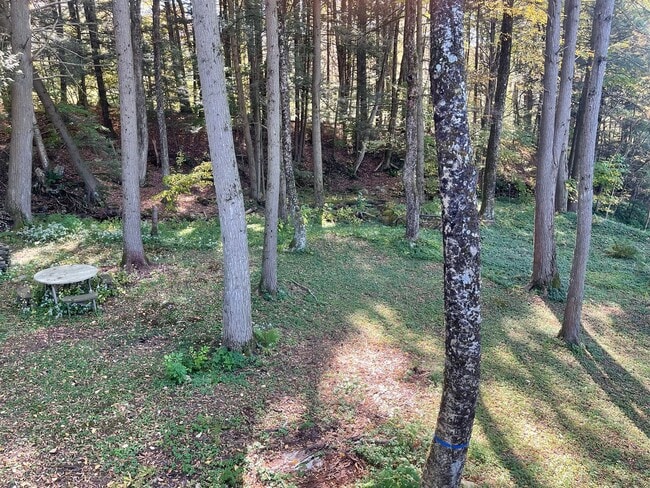 Building Photo - 4BR/1.5 Bath in Dalton – $2,800/mo Peacefu...