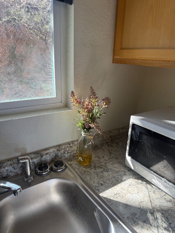 Building Photo - 797 W Mesa Verde Dr