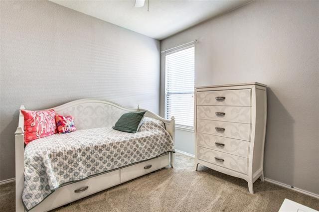 Building Photo - 285 Big Bear Dr