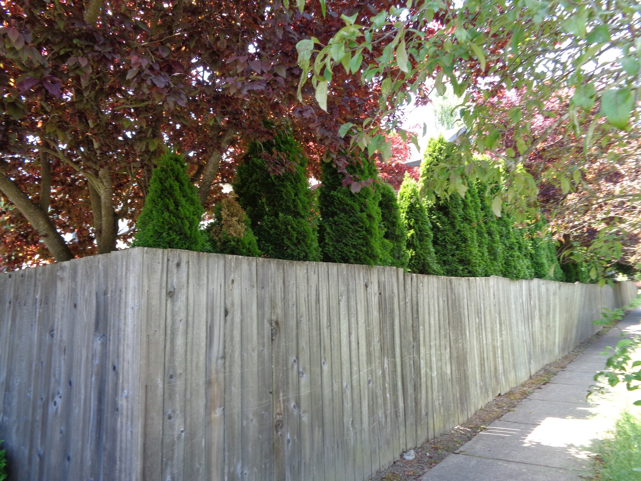 View from the Street - 17612 SW Bany Rd