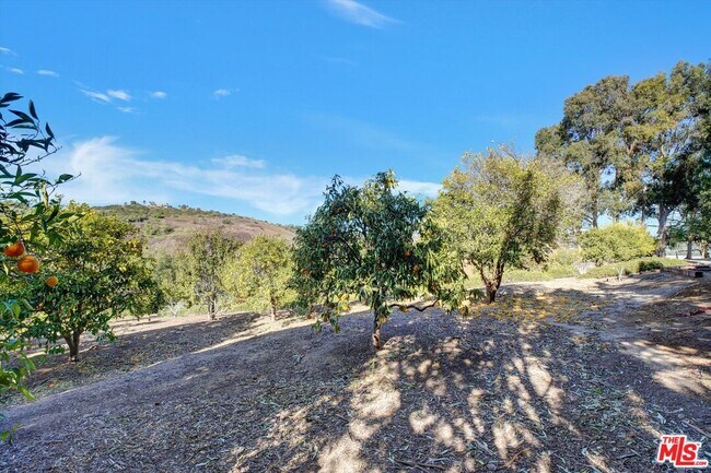 Building Photo - 13045 Ripple Creek Ln