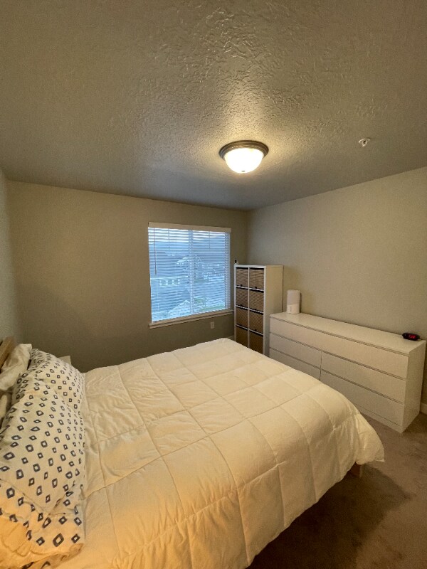 Building Photo - 4214 Frontier Park Ct