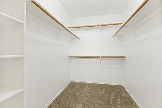 Building Photo - 556 Winbridge Ln