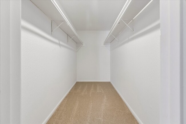 Building Photo - 2100 Tanglewilde St