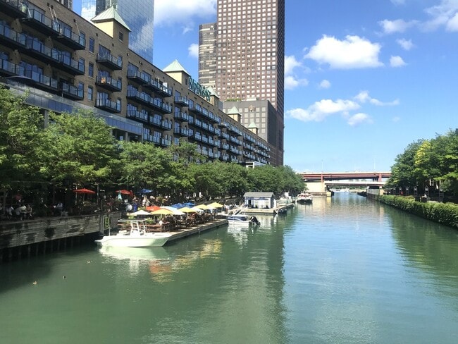 Building Photo - 480 N McClurg Ct