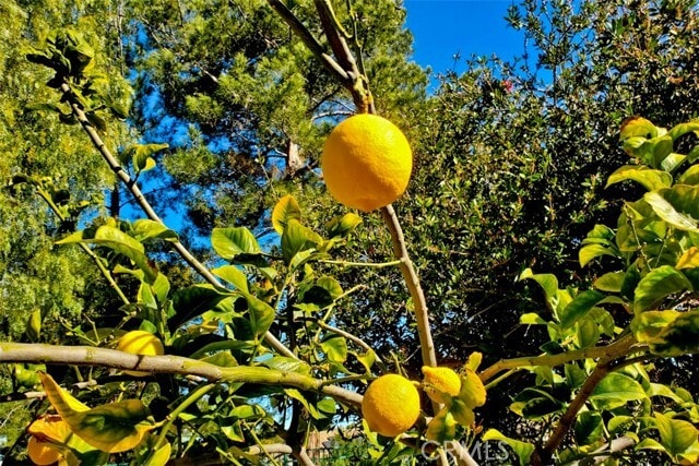 Building Photo - 659 Twin Peaks Ave