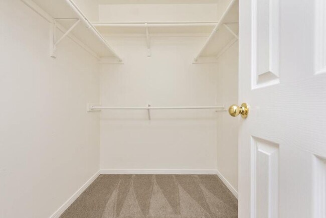 Building Photo - 2117 Saint Lucia Calle