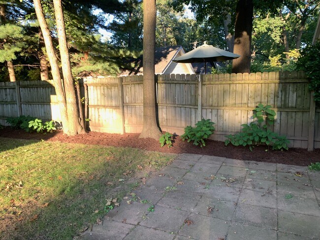 Back Yard - 25 Wellesley Dr