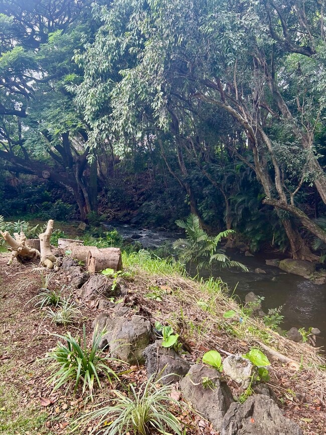 Building Photo - 116 Hanupaoa Pl