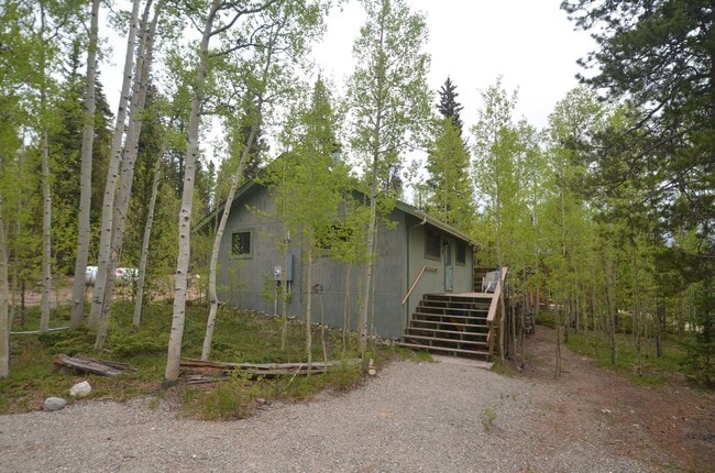 Building Photo - Mountain home tucked in the woods! 45 Minu...