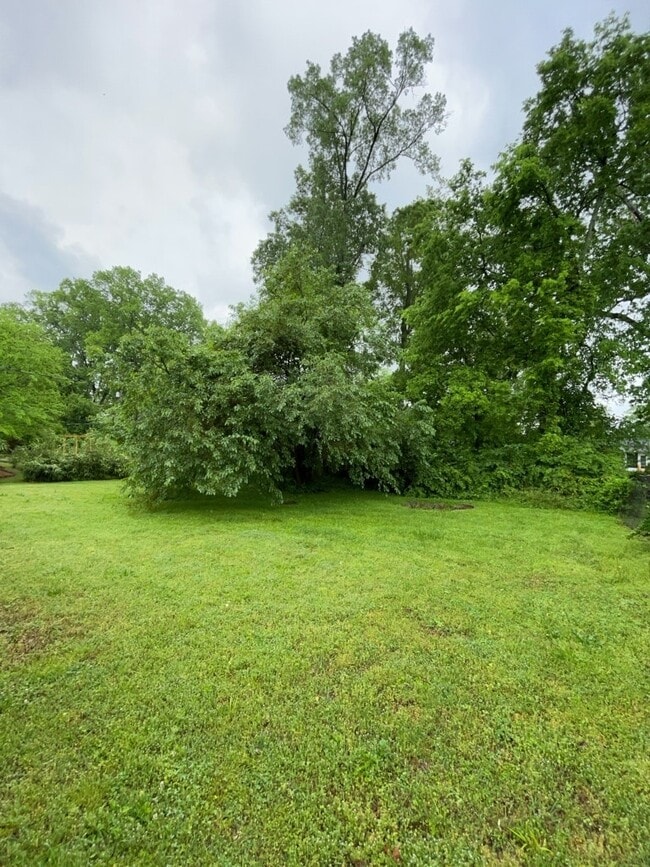 Building Photo - 5608 Spring Garden Ln