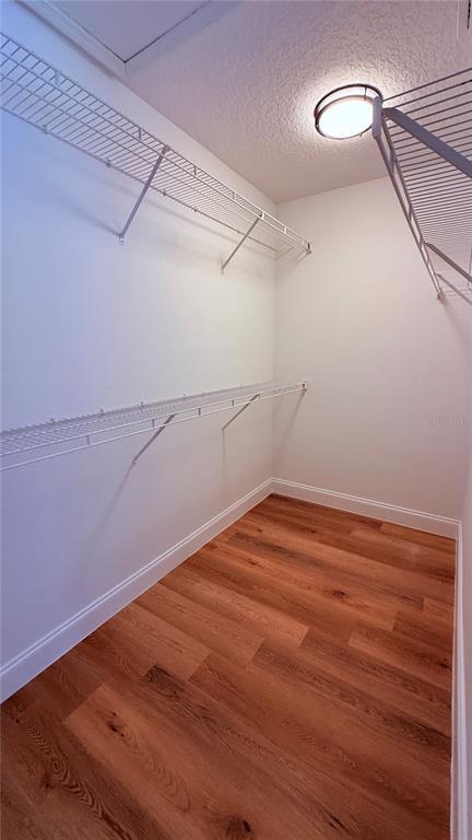 Building Photo - 2529 Galliano Cir