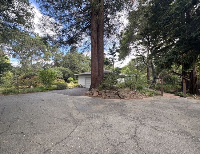 Building Photo - Beautiful Serene 4-Bedroom Home on a Gated...