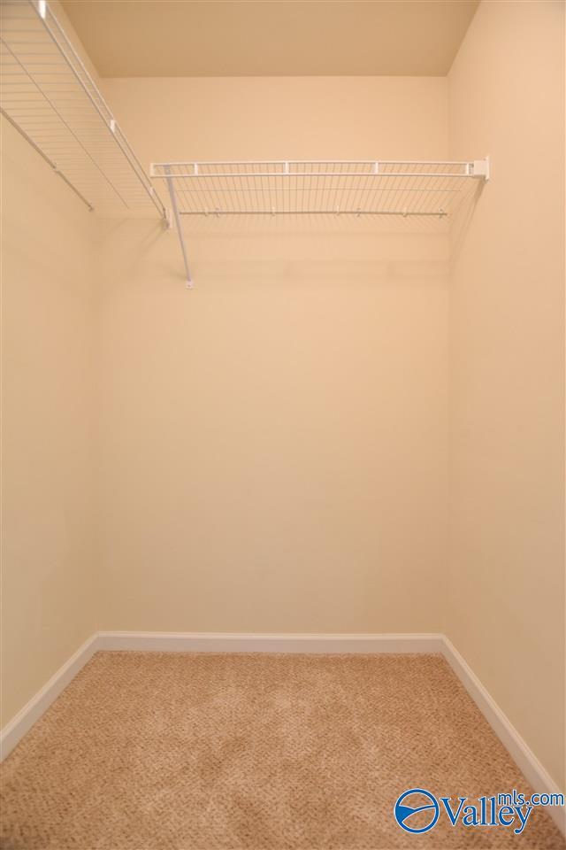 Building Photo - 219 Ivyleaf Dr