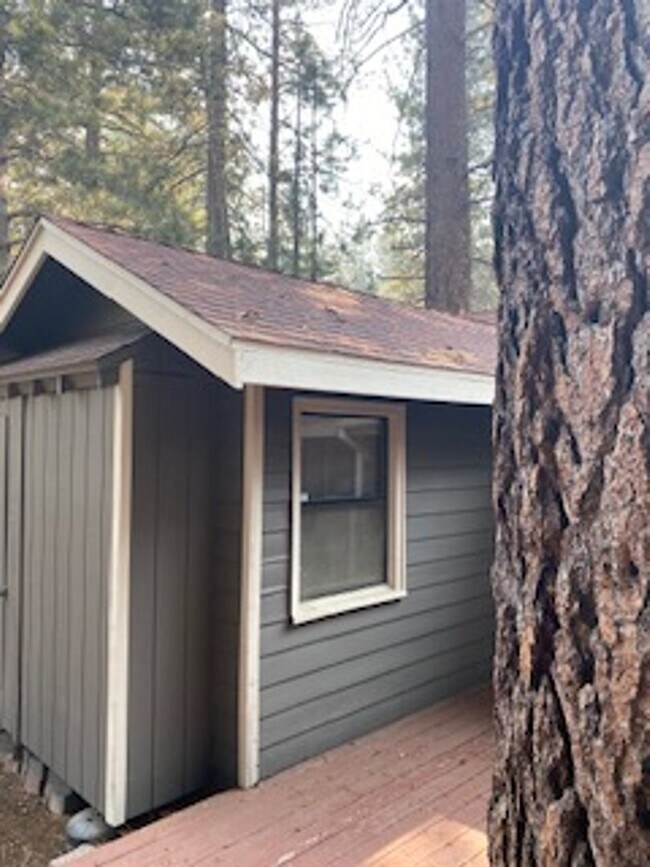 Building Photo - 3 bedroom cabin with carport