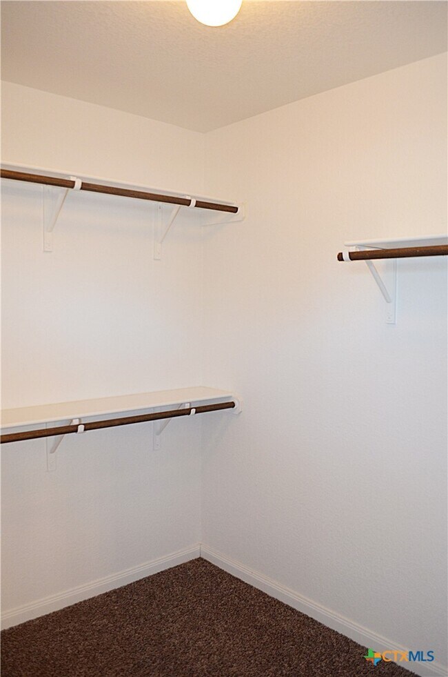 Building Photo - 6111 Cactus Flower Ln