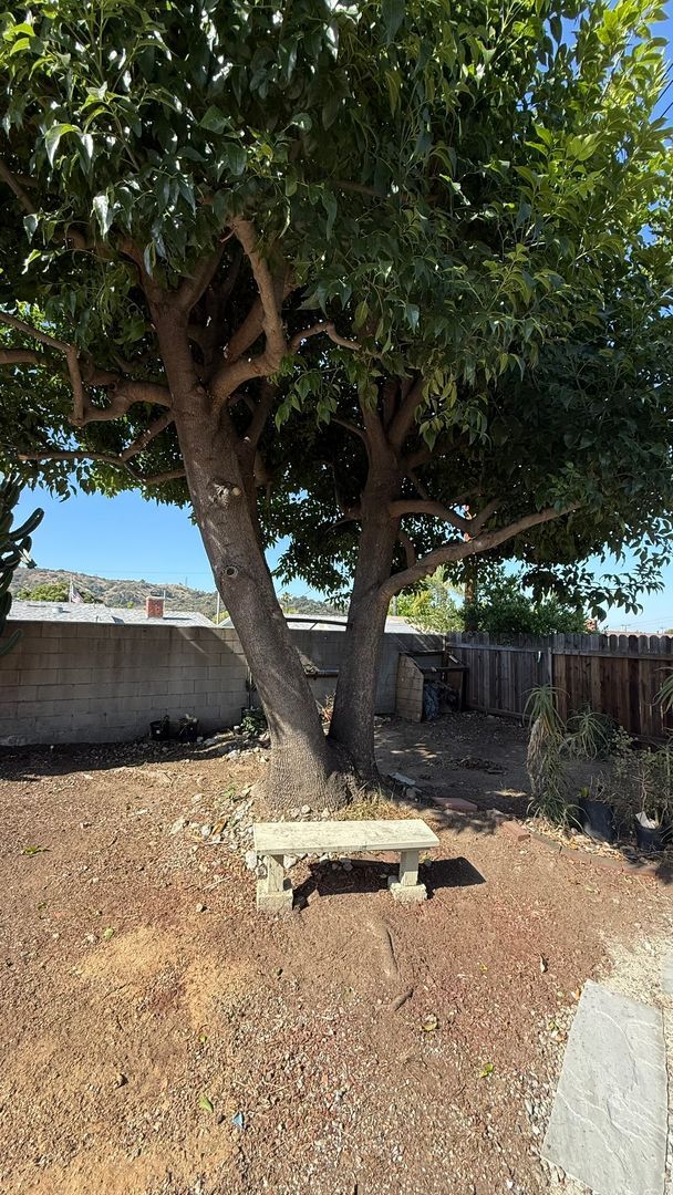 Building Photo - Incredible Remodled 4 bedroom House