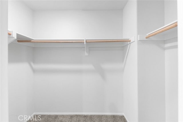 Building Photo - 1626 Cayton Lp