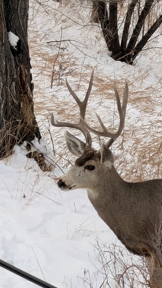 Building Photo - 2636 Patriot Hts