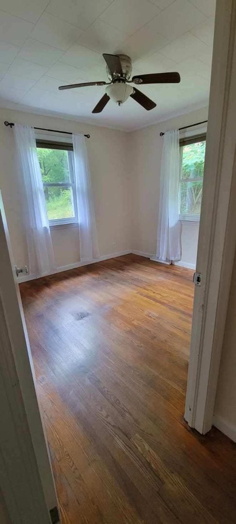 Building Photo - 3 Bd 1.5 Ba with 4 acres.