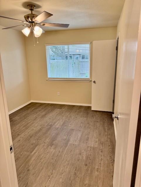 Building Photo - 11900 Tanglebriar Trail