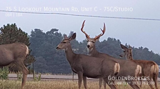 Building Photo - 75 S Lookout Mountain Rd