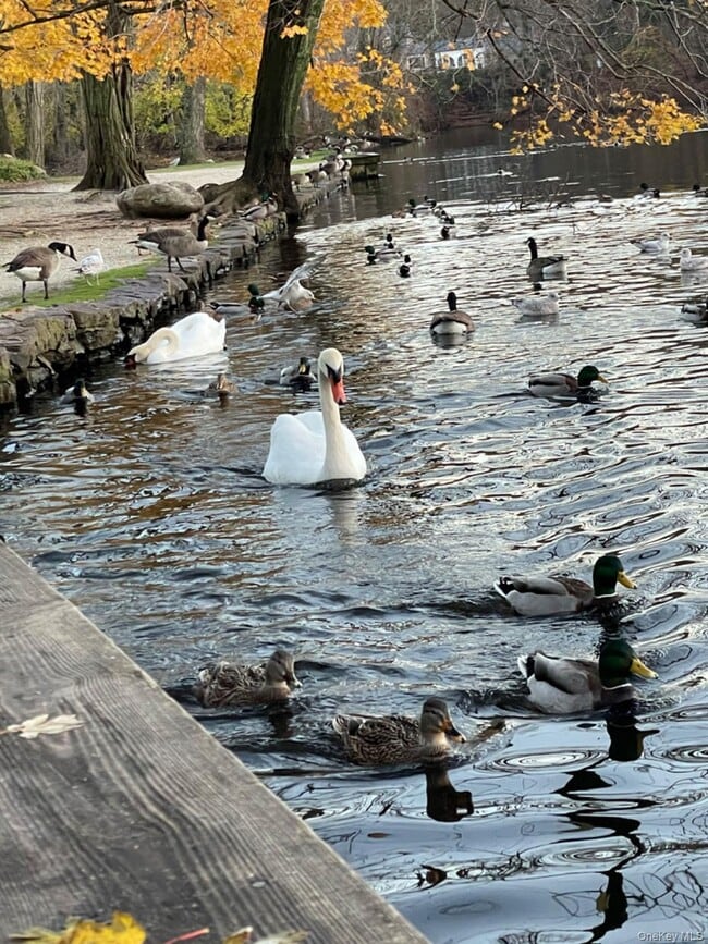 Building Photo - 18 Bayles Ave