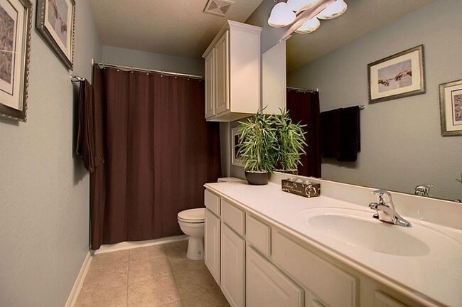 Building Photo - 1246 Glenwood Canyon Ln