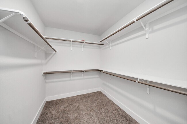 Building Photo - 4423 Santorini Ln