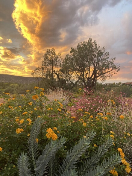 Building Photo - 105 Rojo Dr