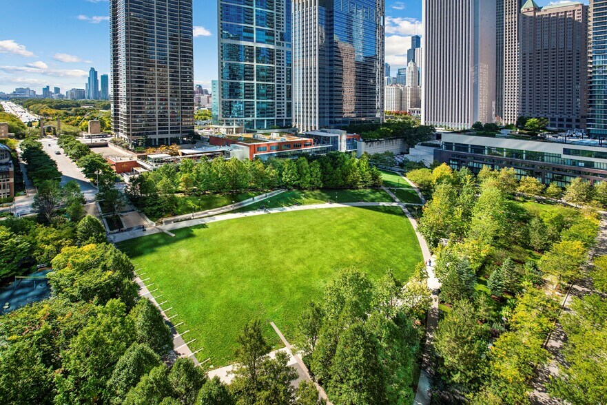 Shoreham and Tides 400 E South Water St Chicago IL 60601 Apartment