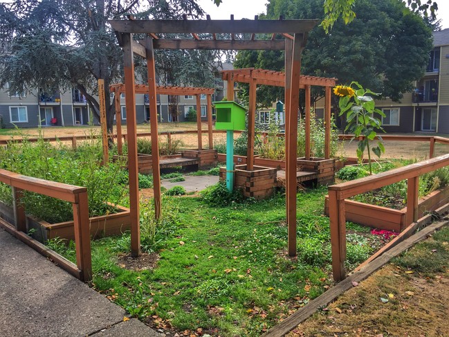 Community Garden - Rockwood Station