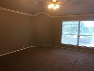 Building Photo - 11217 Jockey Bluff Dr