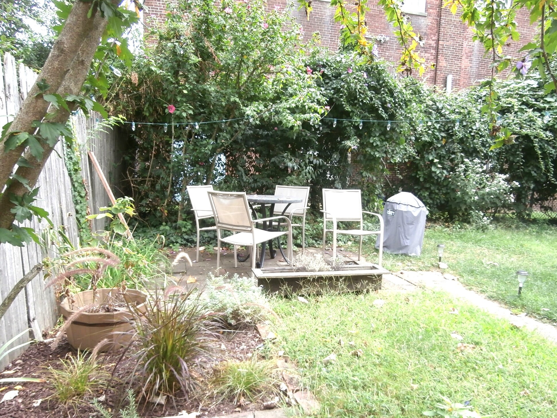 Rear yard - 22 Lyon St