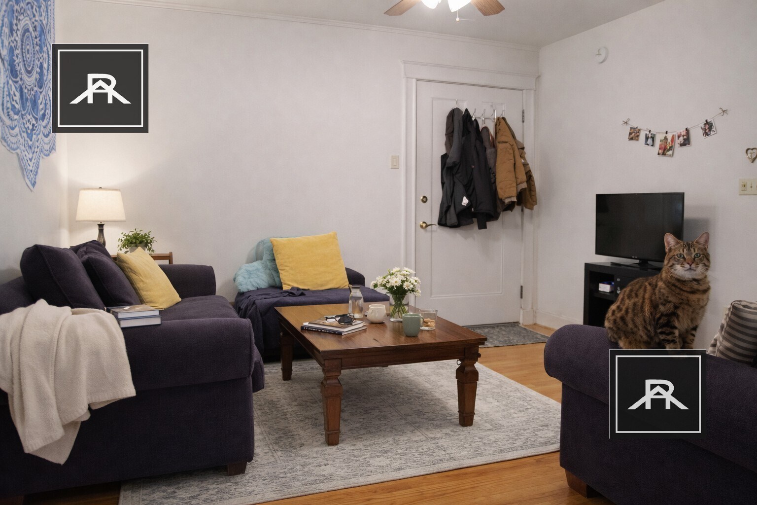 Building Photo - 27 Egremont Rd