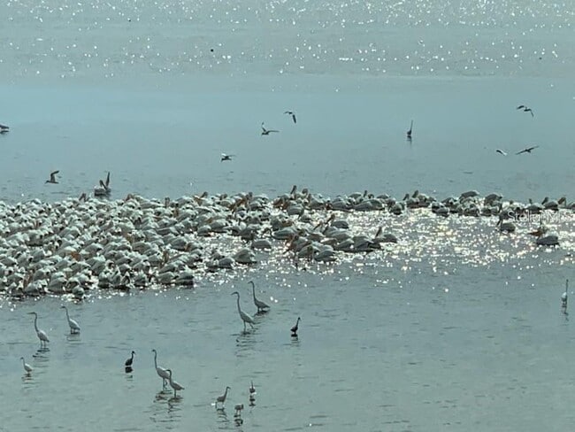 Building Photo - 6470 Mourning Dove Dr