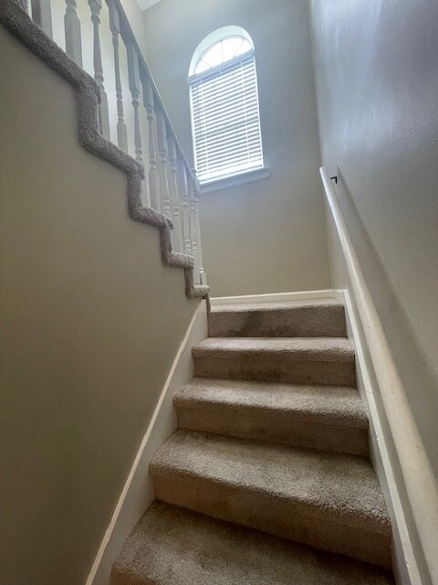 Building Photo - 336 Lamplighter Ln