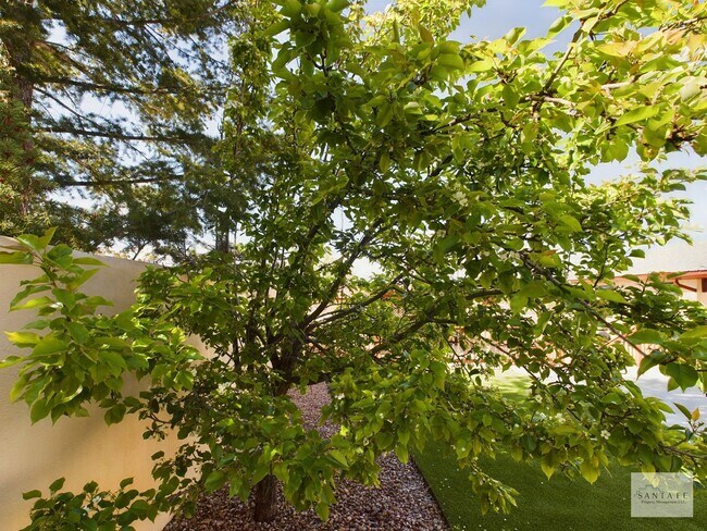 Building Photo - Beautifully Remodeled single Level Home Available Now